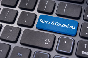 Website terms and conditions